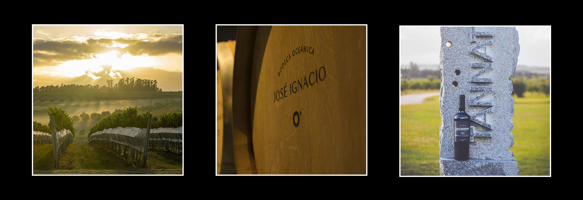 José Ignacio online Vineyards Tour Uruguay Exclusive Crafted